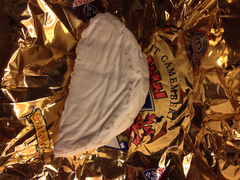 Penicillium camemberti