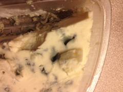 Penicillium roqueforti