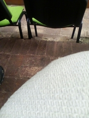 Phyllodactylus gerrhopygus