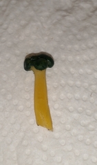 Leotia lubrica image
