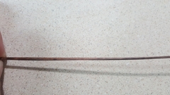 Xyris platylepis