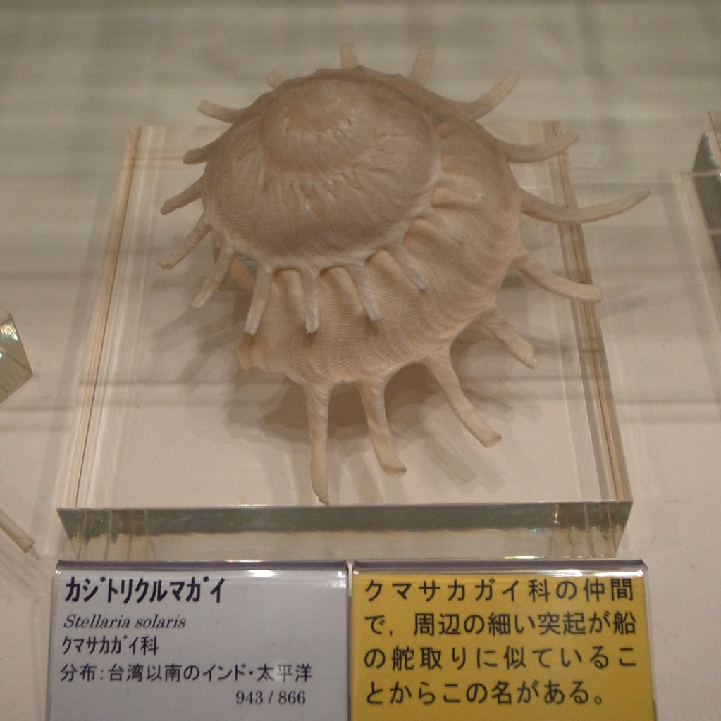 Sun carrier shell