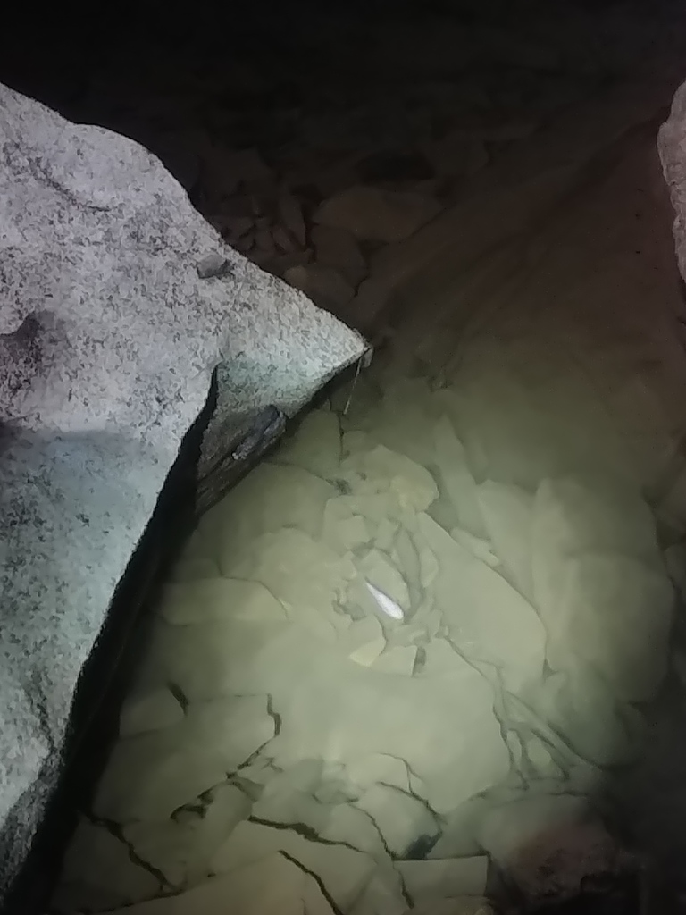 Hoosier Cavefish