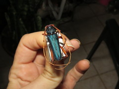 Jonthodina sculptilis