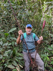 Costus erythrothyrsus
