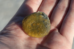 Cinachyrella