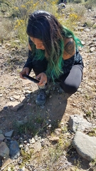 Rhinotropis desertorum