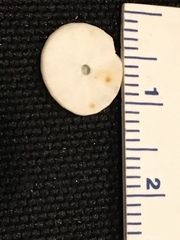 Jacksonaster depressum