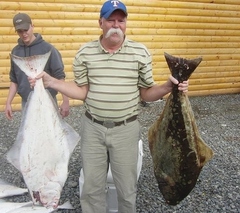 Hippoglossus stenolepis