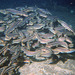 Japanese Striped Eel Catfish - Photo (c) mdchachi, some rights reserved (CC BY-NC), uploaded by mdchachi