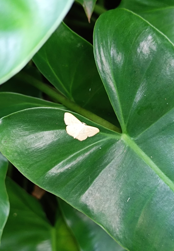 Waves And Mochas From R2F8 CXP Tavanur Kerala 679573 India On Waves And Mochas From R2F8 CXP Tavanur Kerala 679573 India On