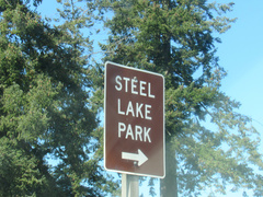 Anas platyrhynchos domesticus