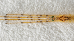 Styringomyia
