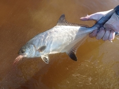Leerfish photo 3