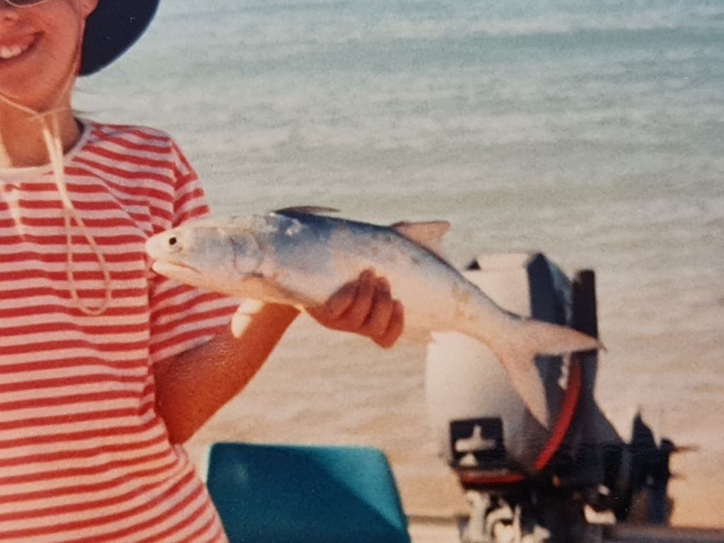 Blind tassel-fish