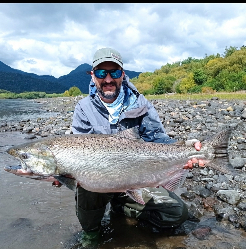 Chinook Salmon from Puerto Varas, Los Lagos, Chile on February 16, 2023