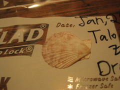Talochlamys