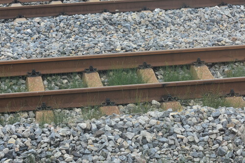 Drill Grass