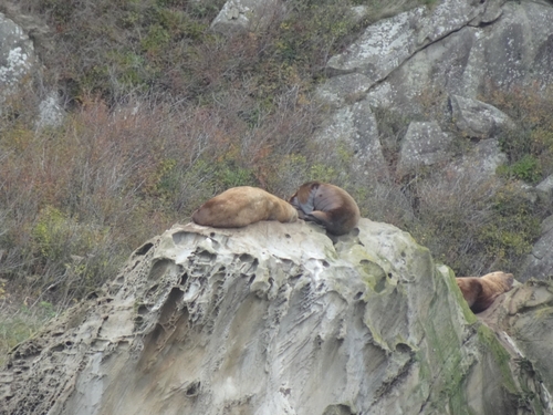 (c) mylodon, some rights reserved (CC BY-NC)