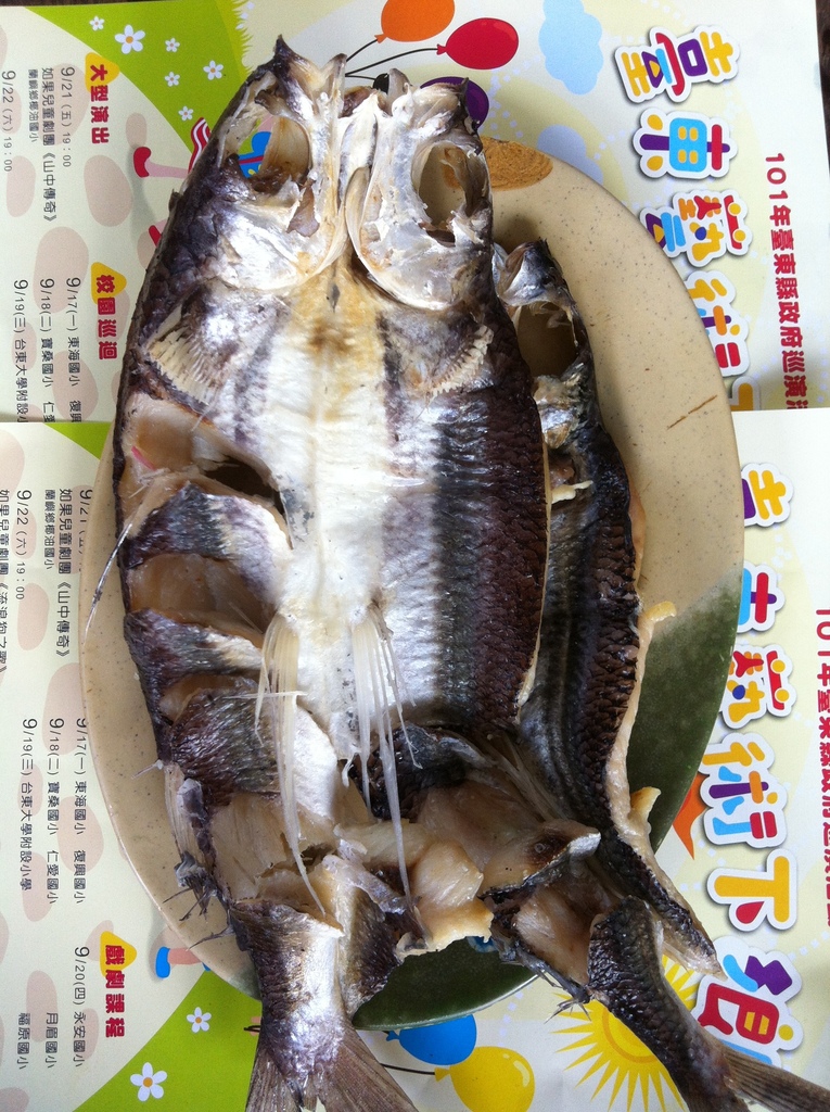 Manyspotted Flyingfish