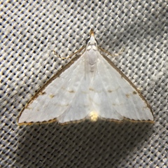 Ramila