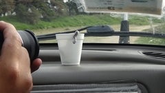 Atractus crassicaudatus