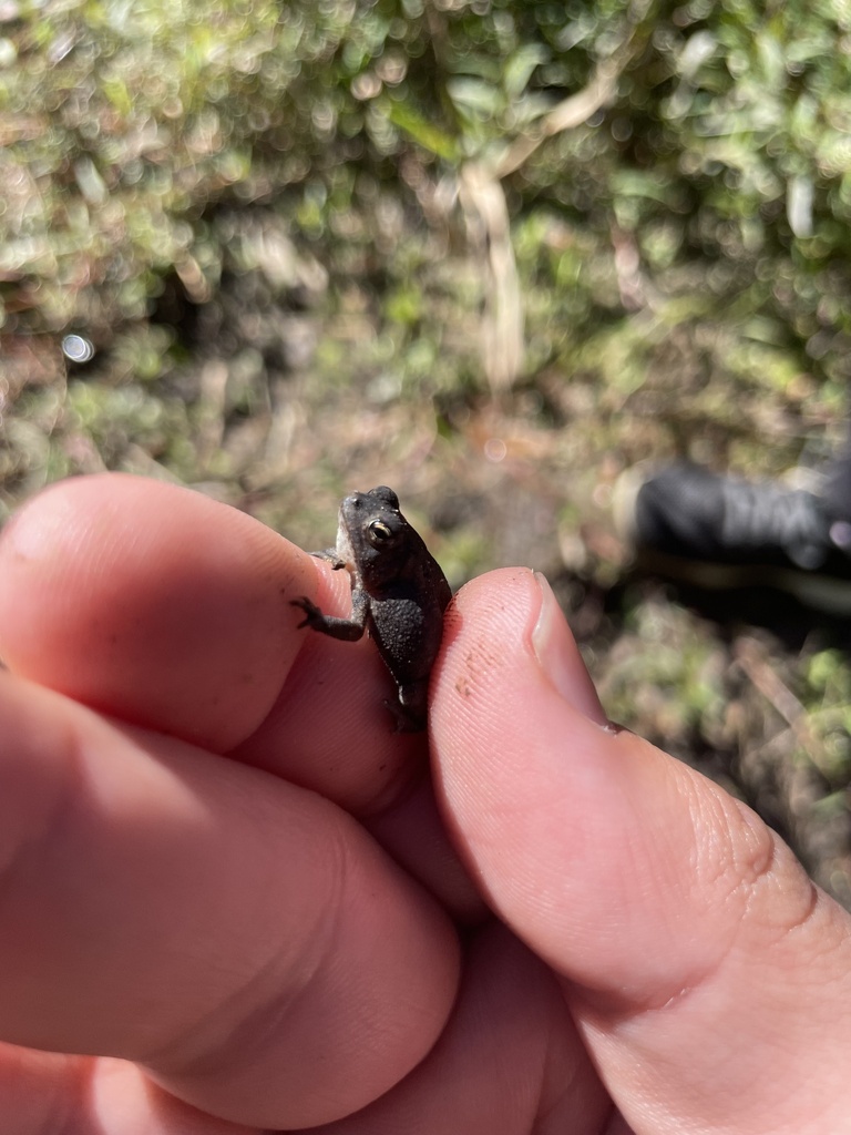 Something from Maxton, NC, US on October 19, 2023 at 1142 AM by