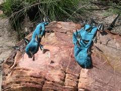 Graphium eurypylus nyctimus