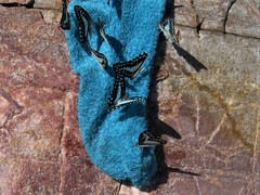 Graphium eurypylus nyctimus