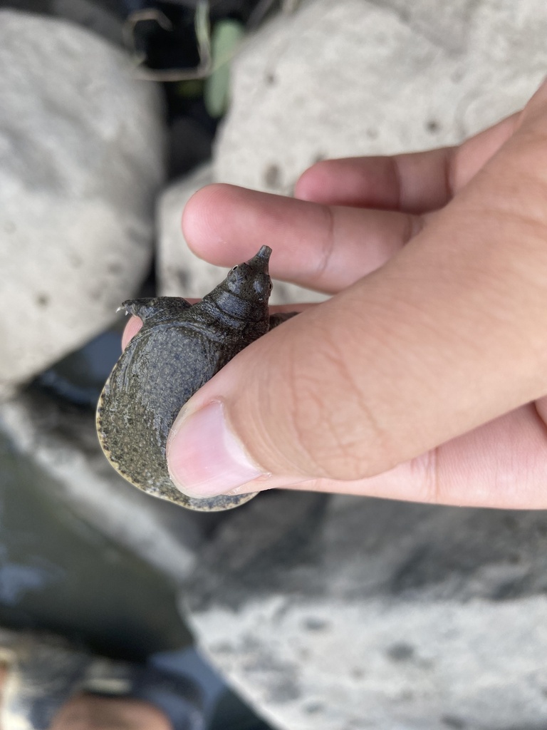 Photo by Phan Vũ Phúc Lân