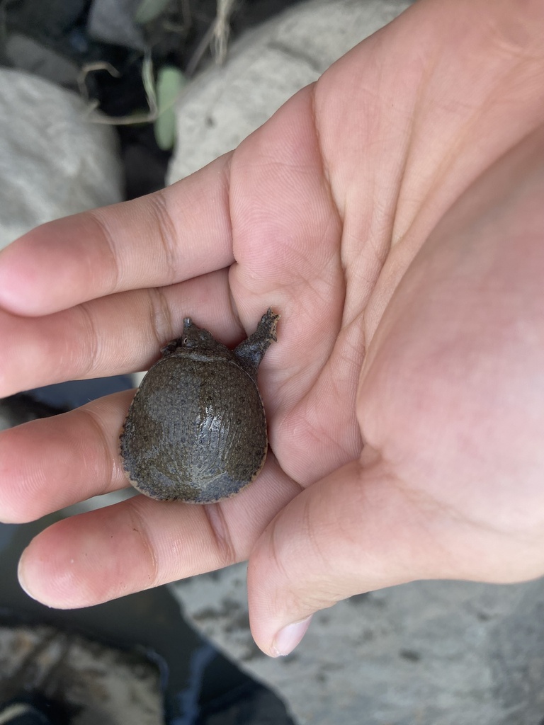 Photo by Phan Vũ Phúc Lân