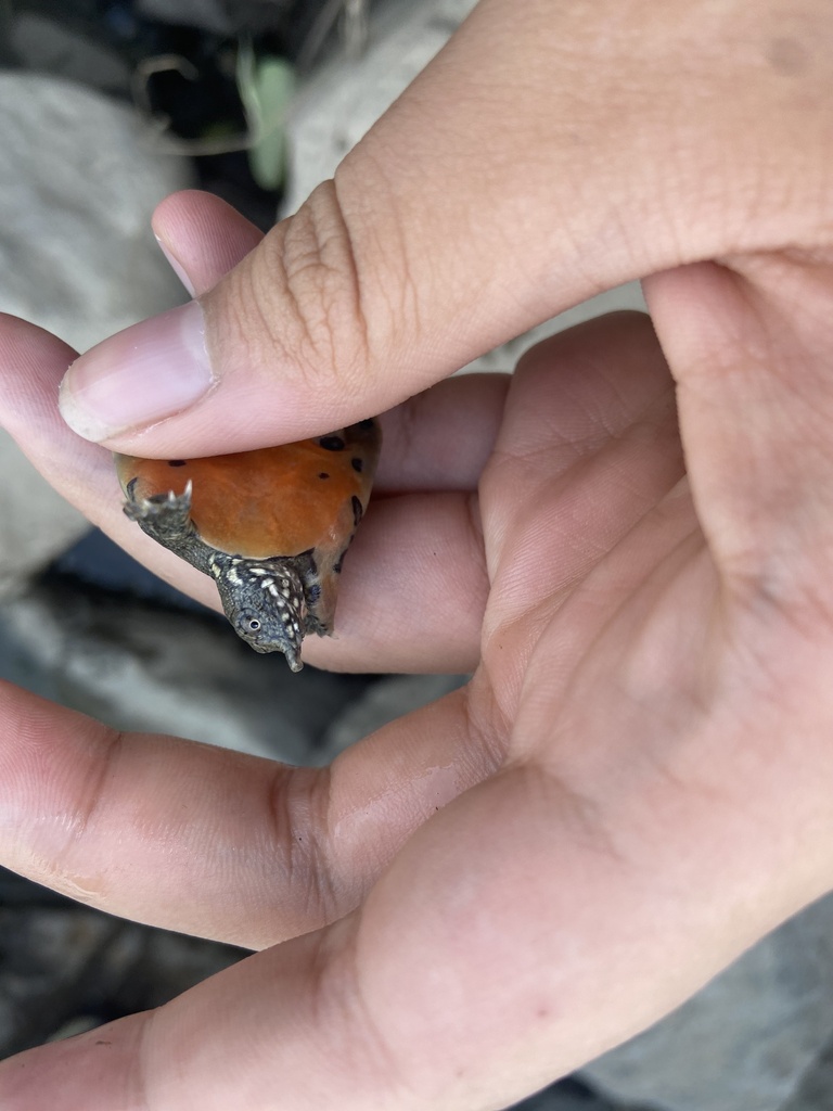 Photo by Phan Vũ Phúc Lân