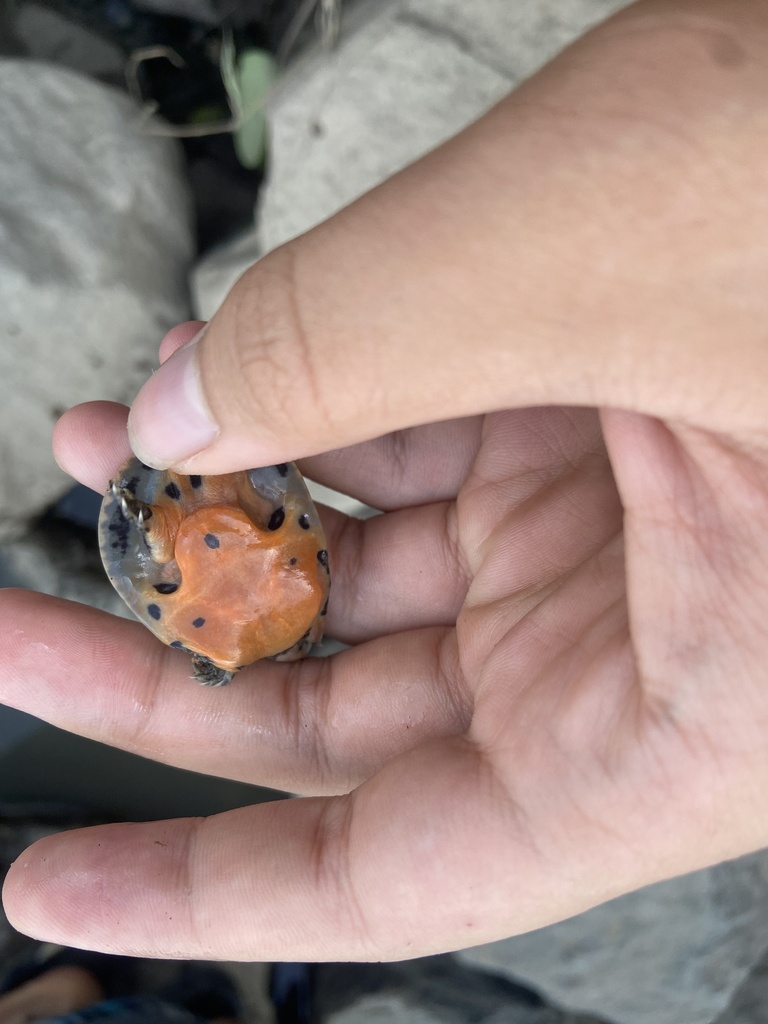 Photo by Phan Vũ Phúc Lân