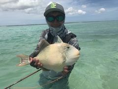 Pseudobalistes flavimarginatus