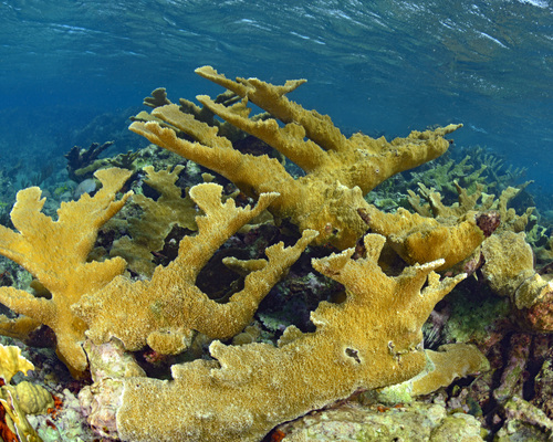 Cayo Largo