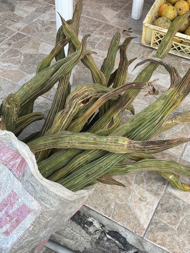 Inga edulis