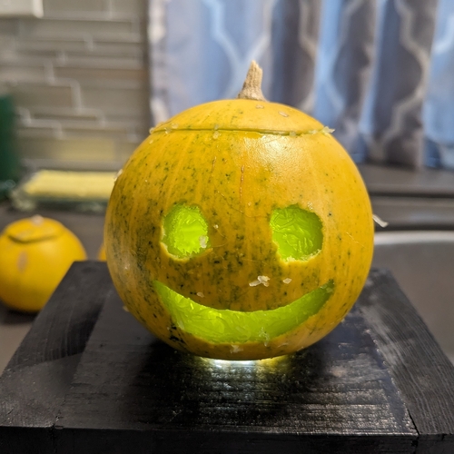 Missouri gourd (Cucurbita foetidissima)