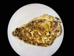 Fergusoninidae