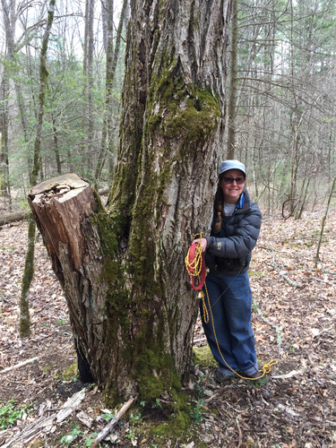 Elk Pen Trail