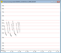 Tadarida brasiliensis
