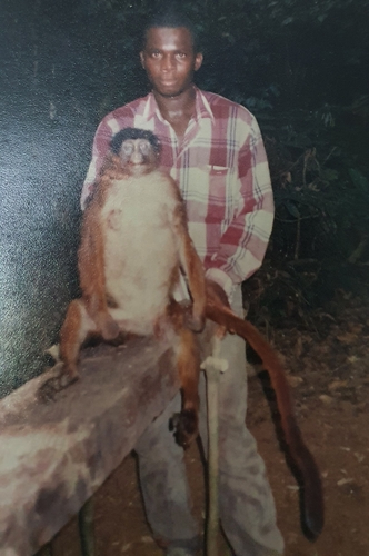 Niger Delta Red Colobus (Piliocolobus epieni) — Critically Endangered Mammalia