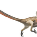Velociraptor - Photo (c) Fred Wierum,  זכויות יוצרים חלקיות (CC BY-SA)