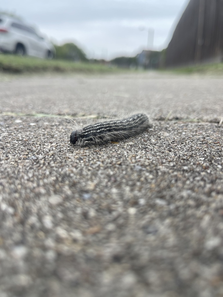 Corpus christi edmonton christmas mass times