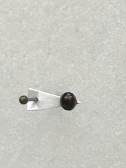 Exochomus marginipennis