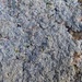 Fluffy Dust Lichen - Photo no rights reserved, uploaded by Ken Kneidel