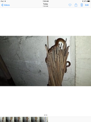 Mastigodryas boddaerti