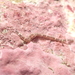 Plectonemertes sinensis - Photo 由 Edward 所上傳的 (c) Edward，保留部份權利CC BY-NC