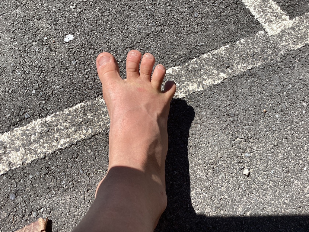 Human from Hurunui College, Hawarden, Canterbury, NZ on November 21