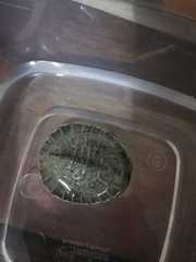 Phrynops geoffroanus