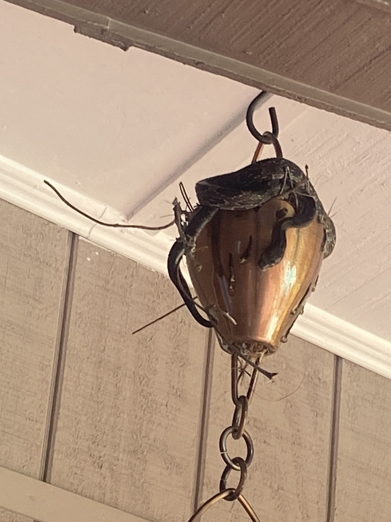 Something from Plunketts Rd, Buford, GA, US on October 22, 2023 at 04